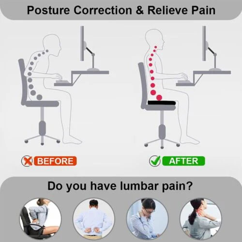 Back & Tailbone Support Cushion